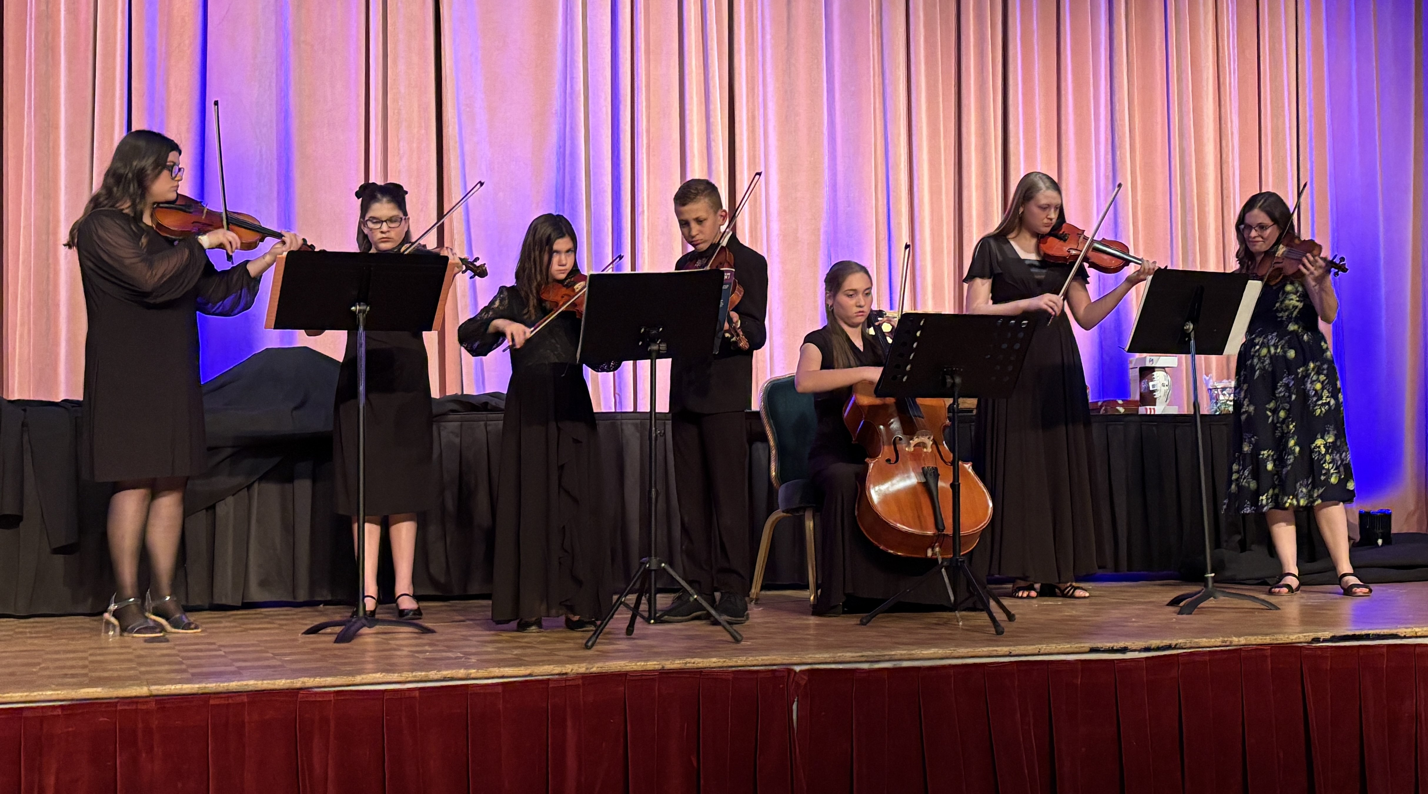 Allegheny Mountain Strings performing at the 2026 Gala