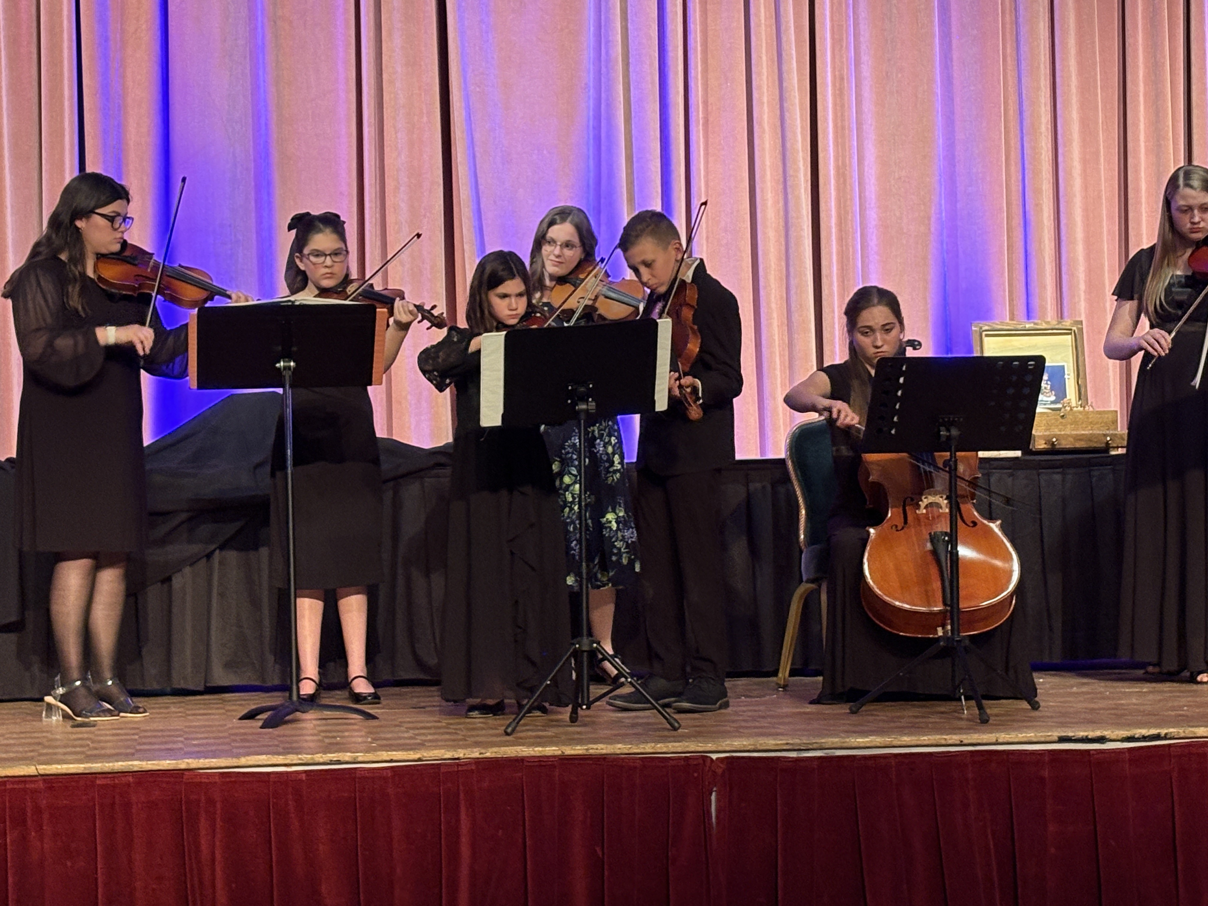 Allegheny Mountain Strings performing at the 2026 Gala